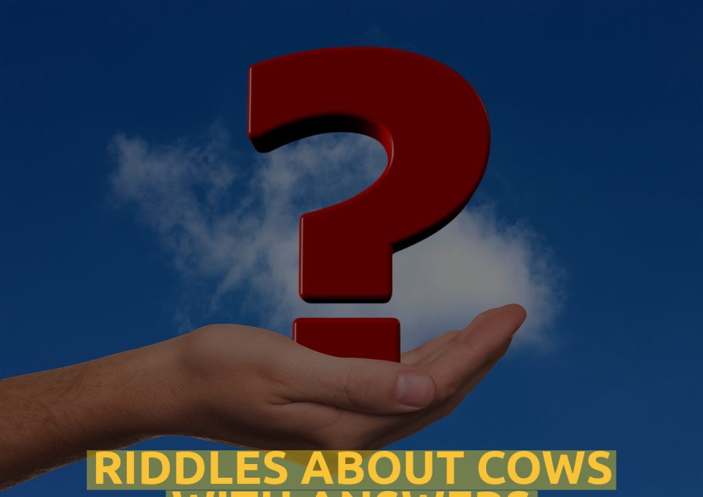 Riddles About Cows WIth Answers