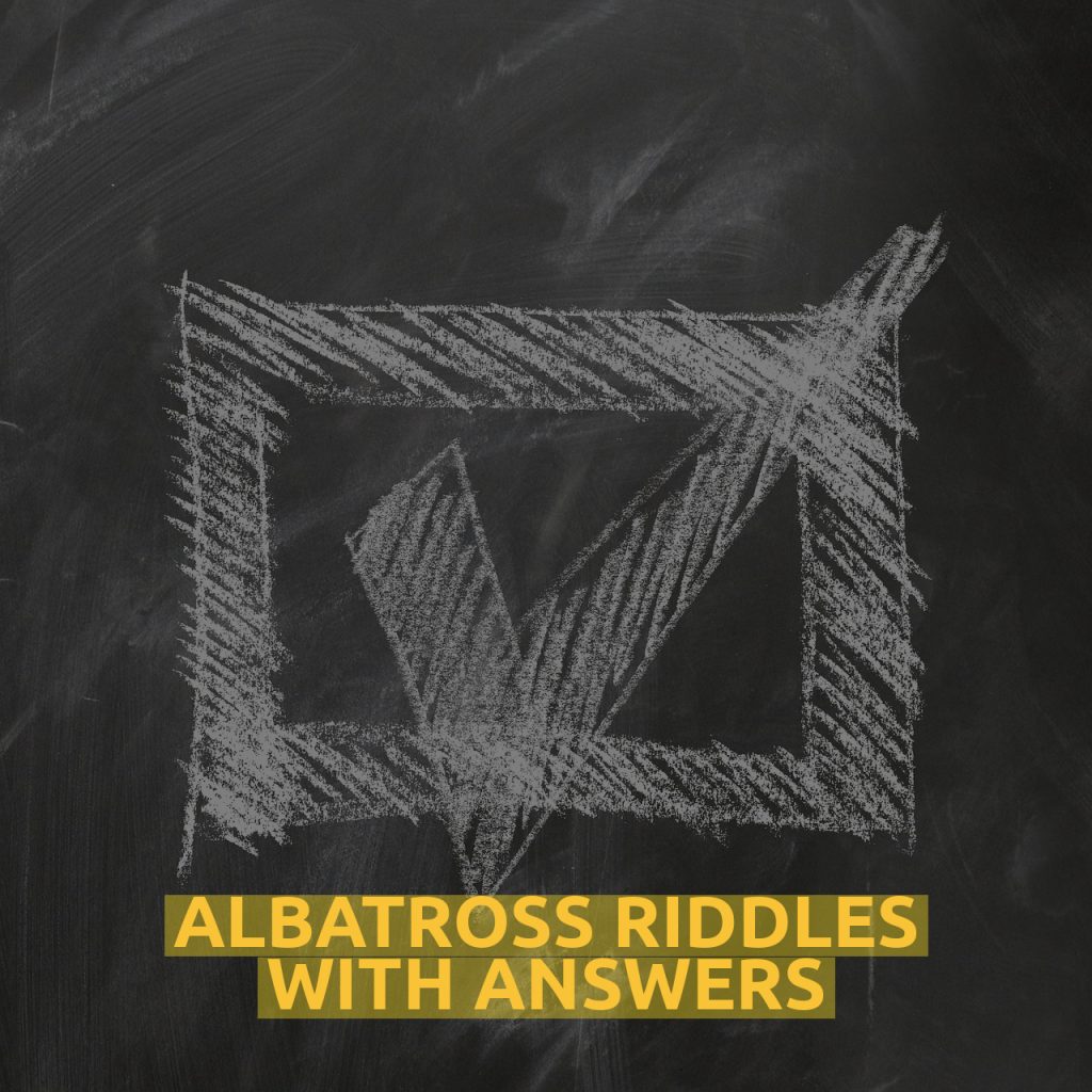 Albatross Riddles With Answers