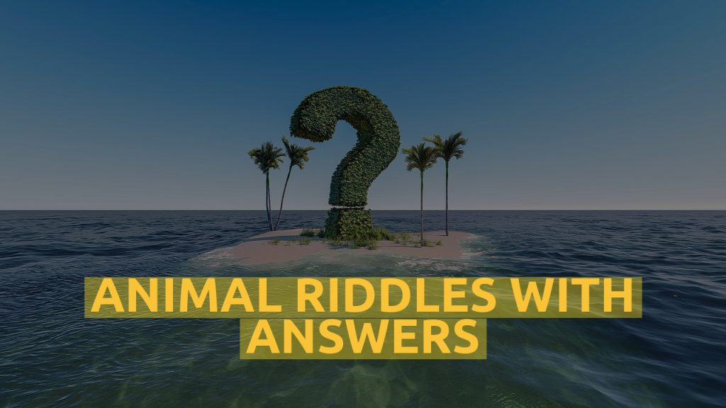 Animal Riddles With Answers