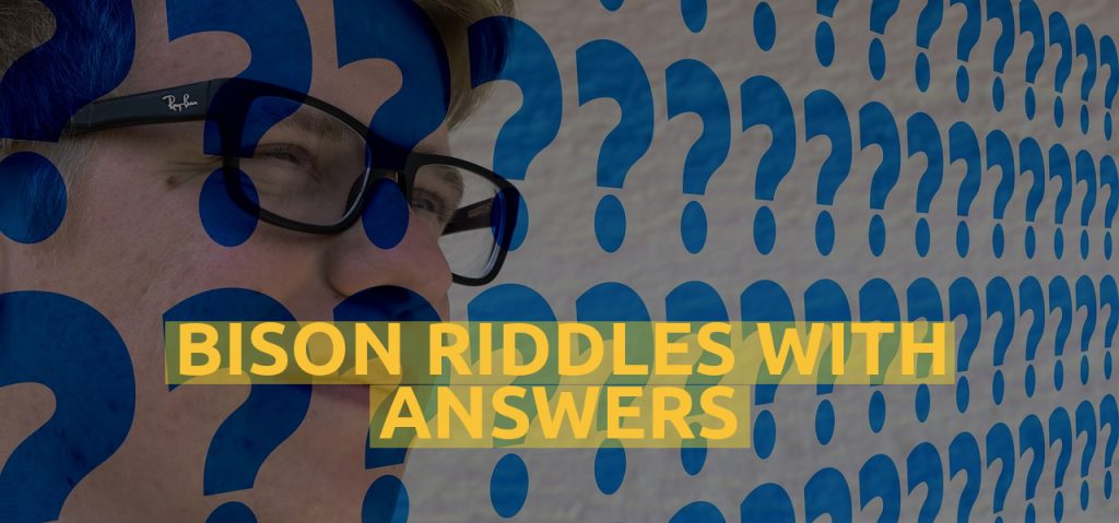 Bison Riddles With Answers