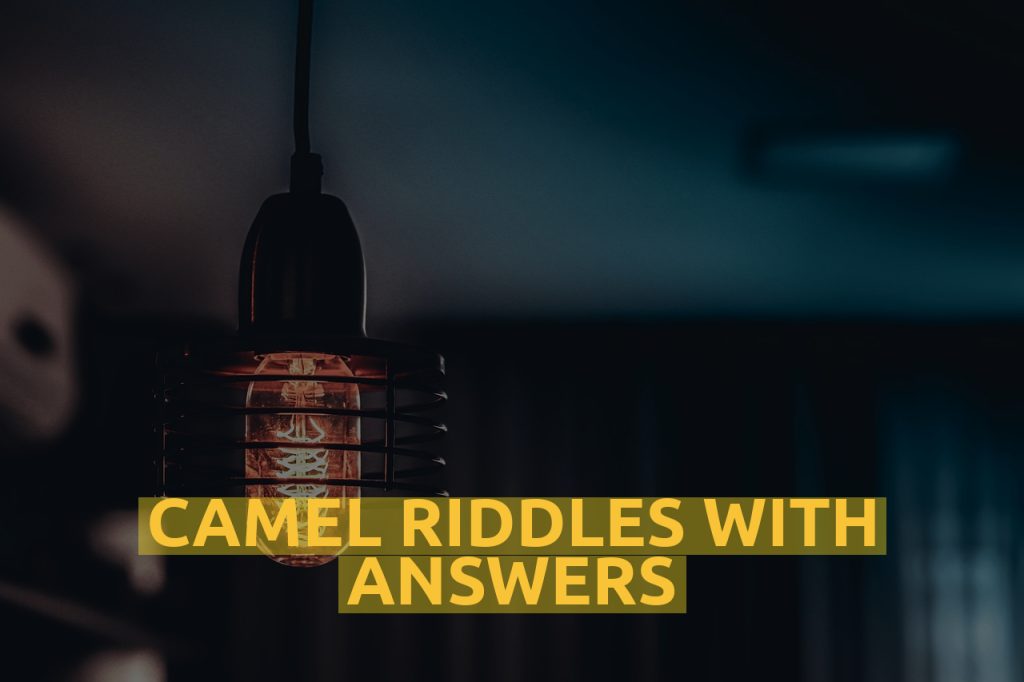 Camel Riddles With Answers