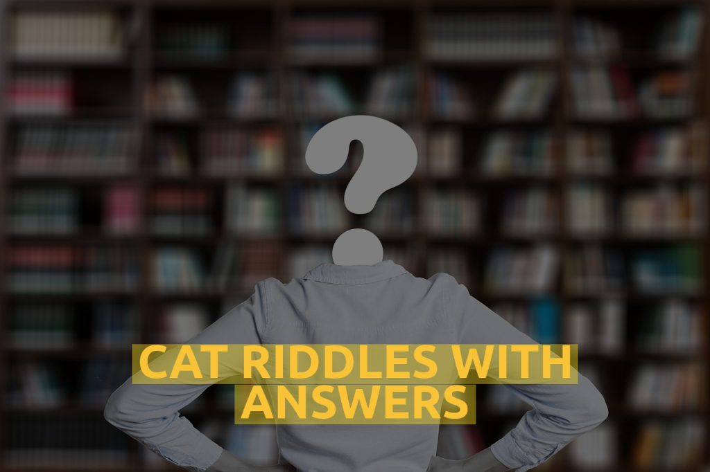 Cat Riddles With Answers