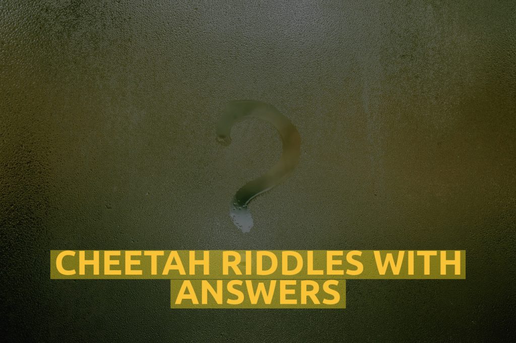 Cheetah Riddles With Answers