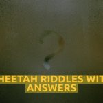 Cheetah Riddles With Answers