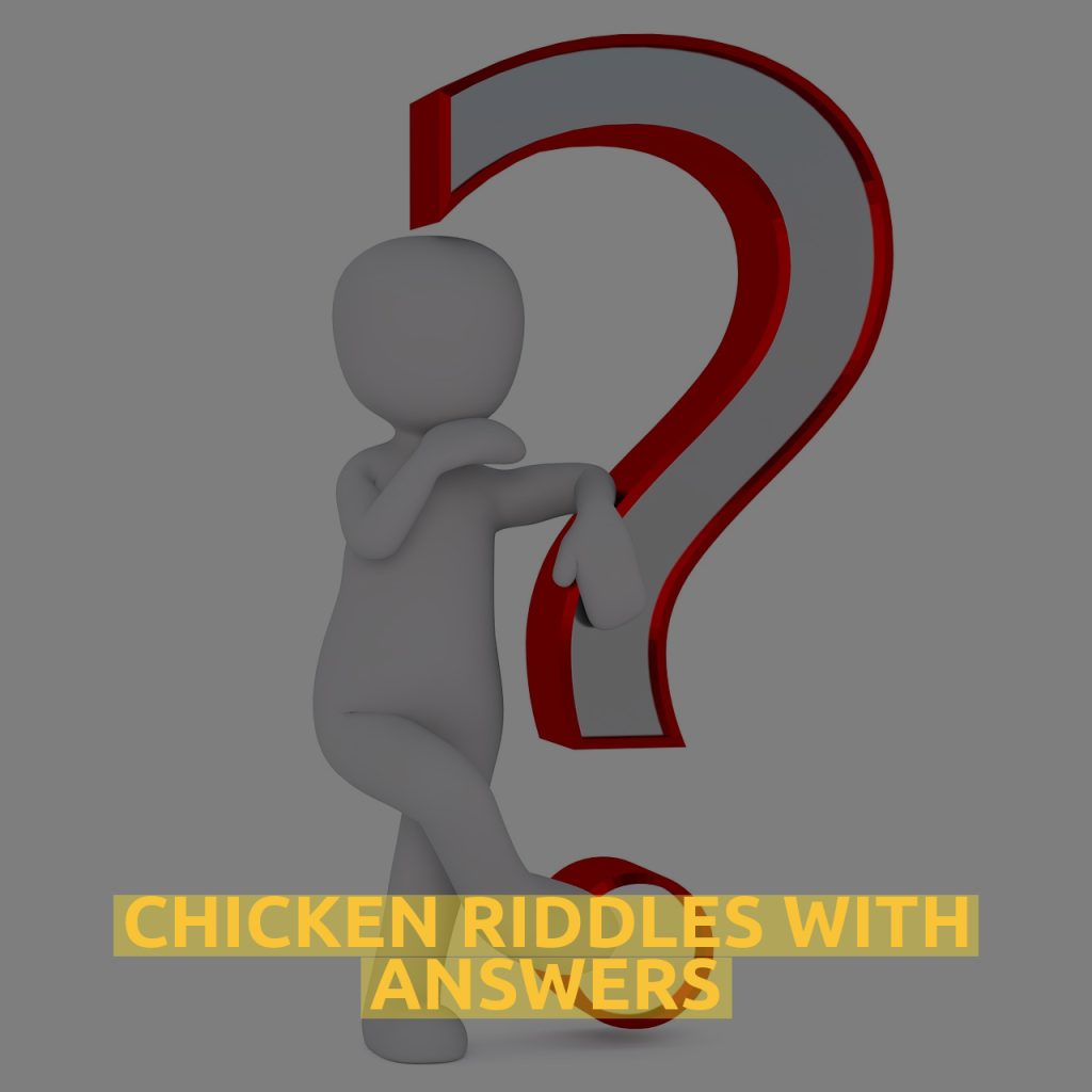 Chicken Riddles With Answers