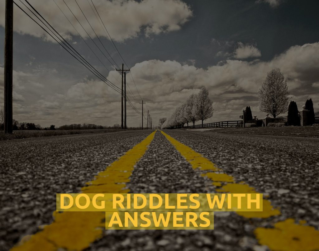 Dog Riddles With Answers