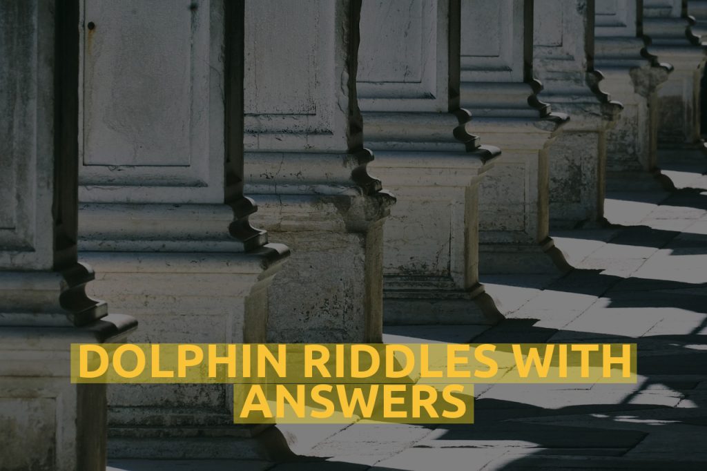 Dolphin Riddles With Answers