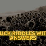 Duck Riddles With Answers