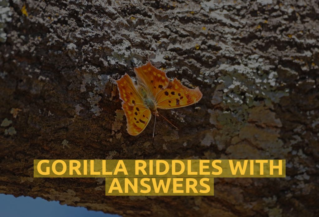 Gorilla Riddles With Answers