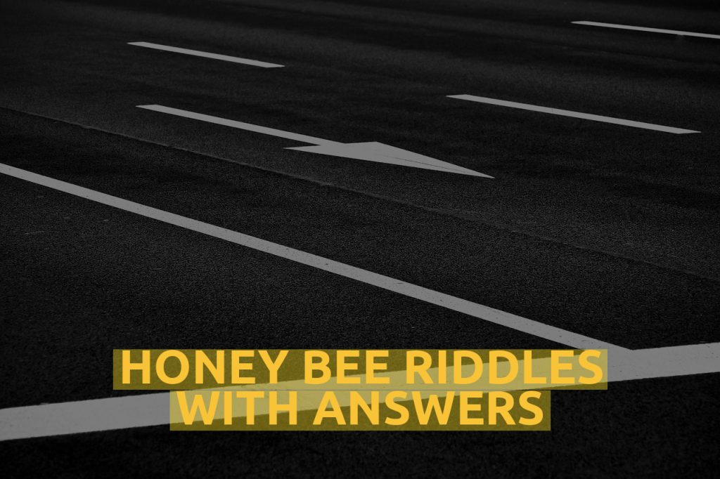 Honey Bee Riddles With Answers