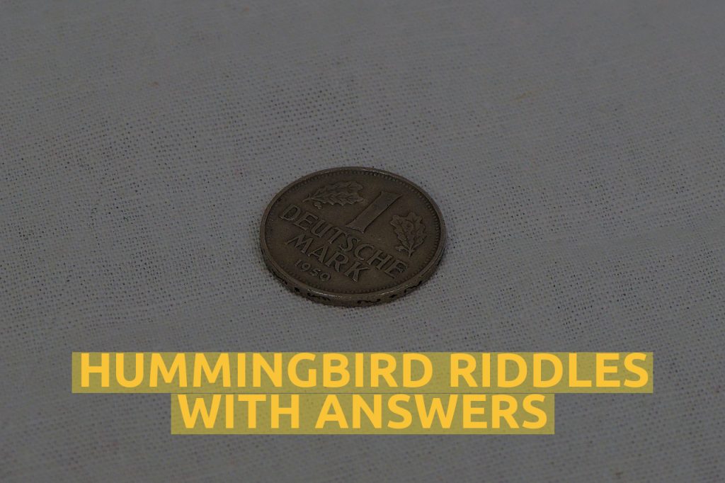 Hummingbird Riddles With Answers