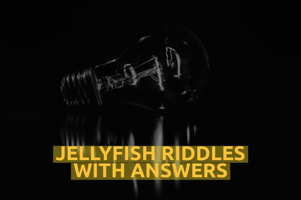 Jellyfish Riddles With Answers