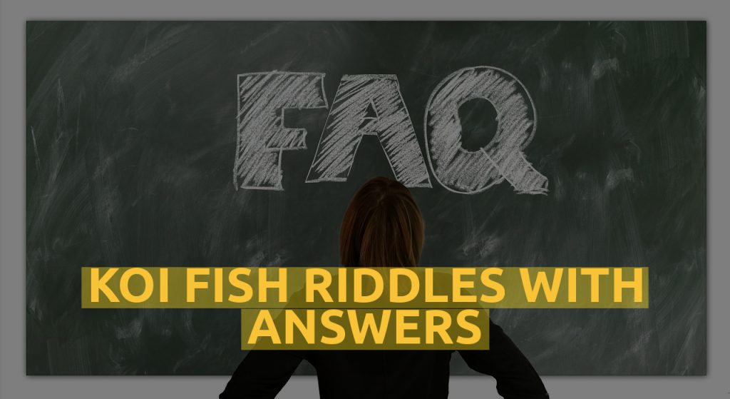 Koi Fish Riddles With Answers