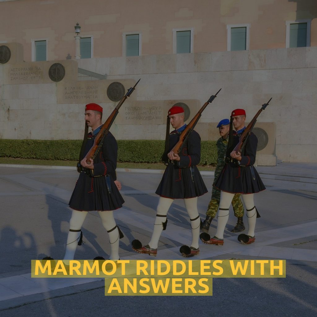 Marmot Riddles With Answers