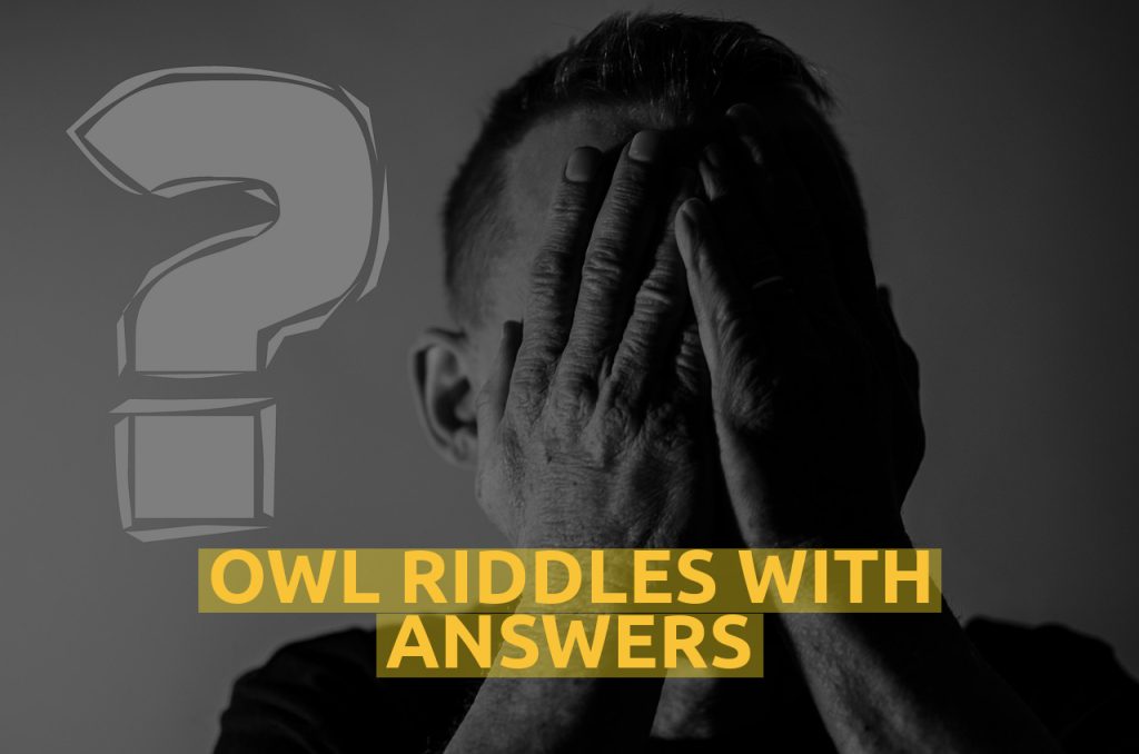 Owl Riddles With Answers