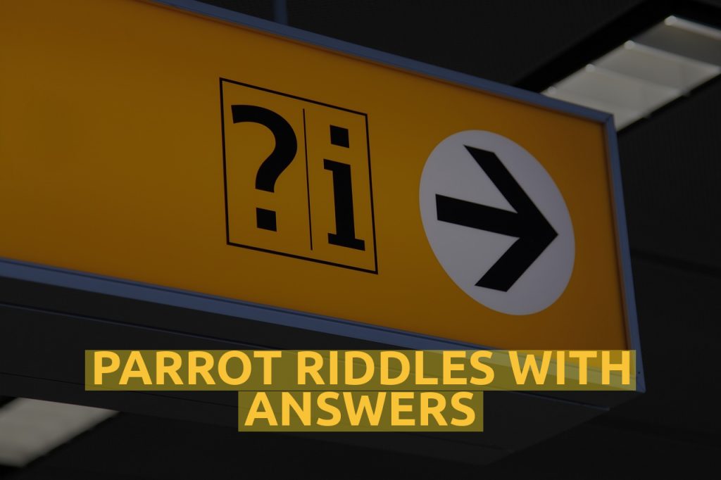 Parrot Riddles With Answers