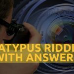 Platypus Riddles With Answers