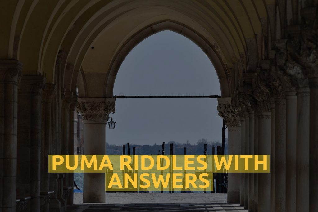 Puma Riddles With Answers