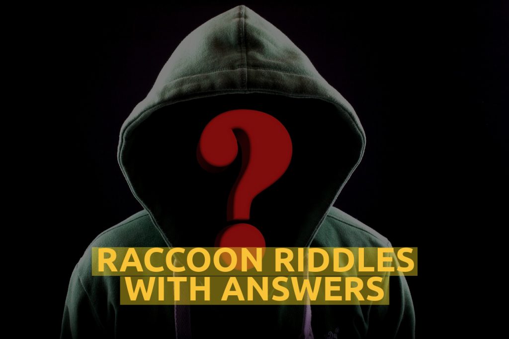 Raccoon Riddles With Answers