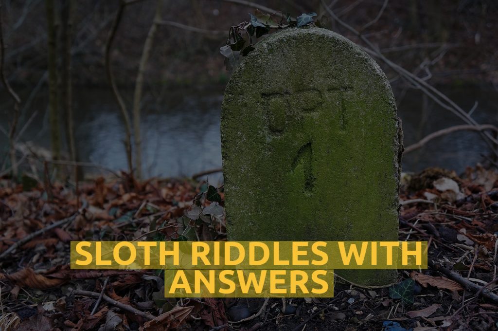 Sloth Riddles With Answers