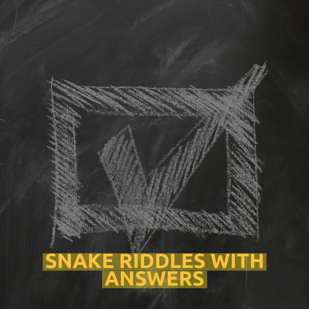 Snake Riddles With Answers