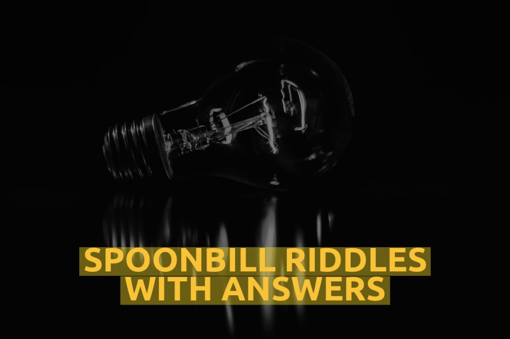 Spoonbill Riddles With Answers