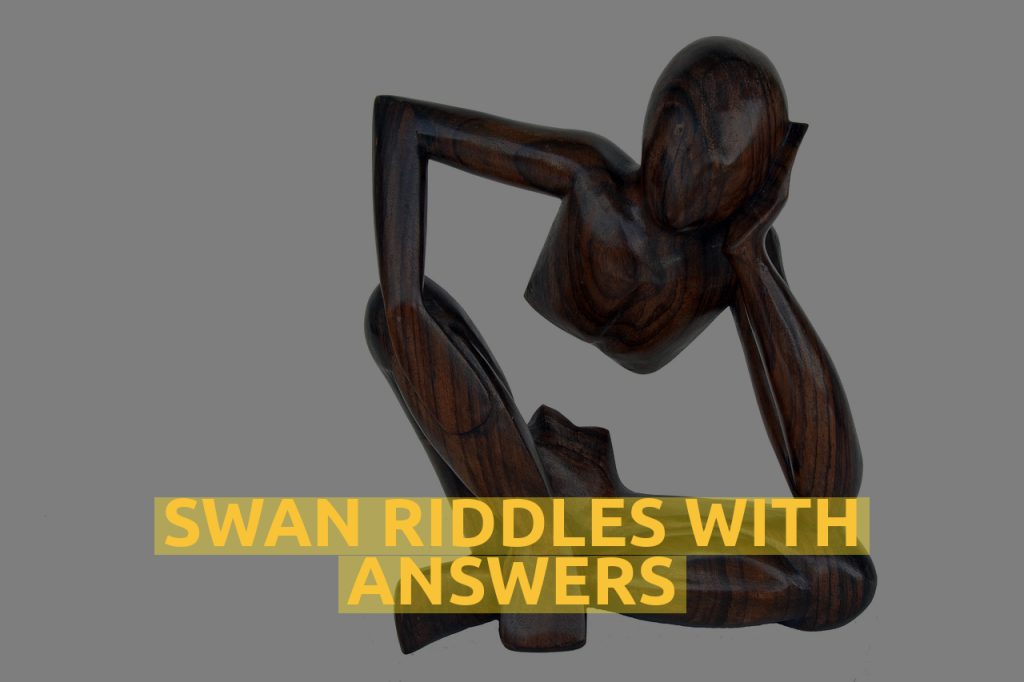 Swan Riddles With Answers