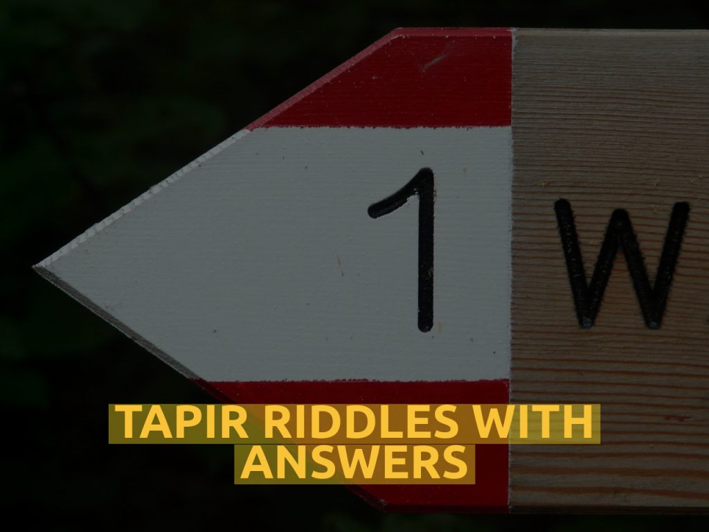 Tapir Riddles With Answers