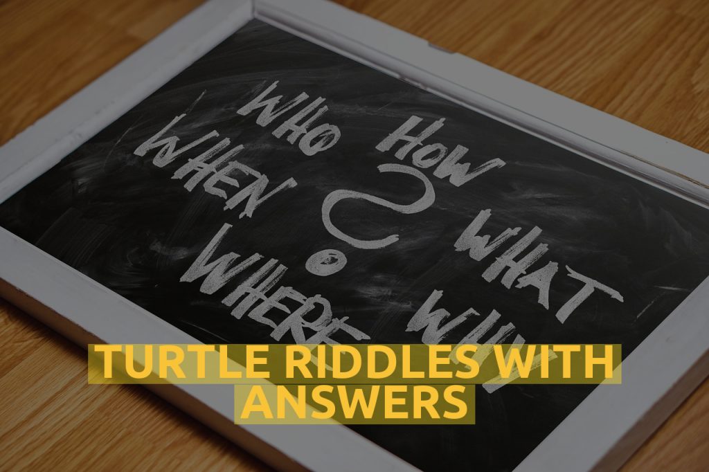 Turtle Riddles With Answers