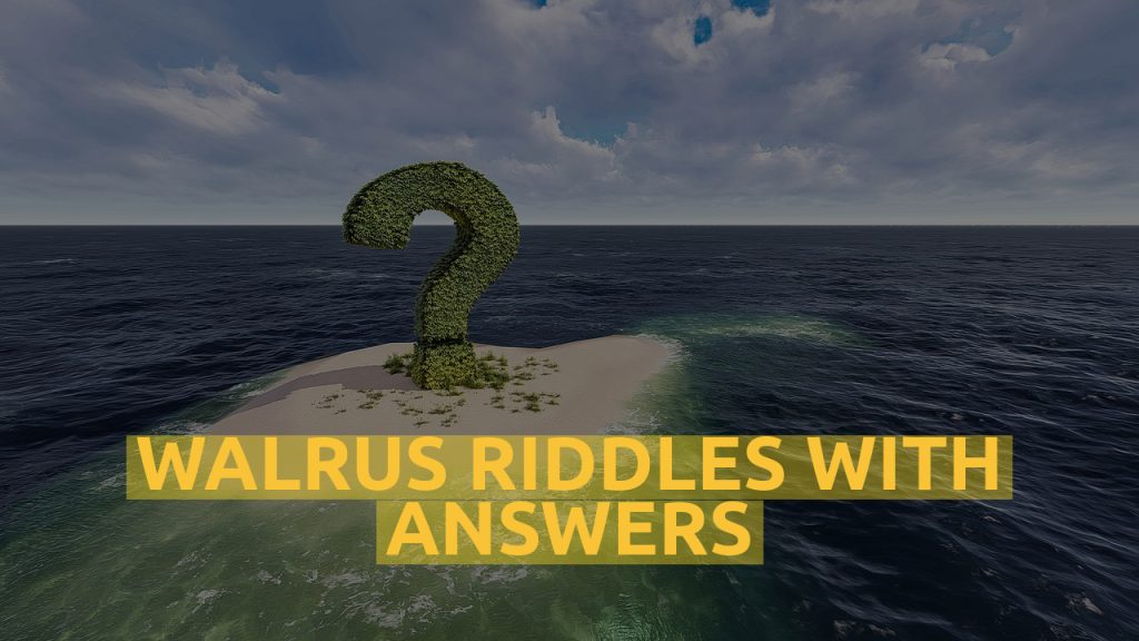 Walrus Riddles With Answers