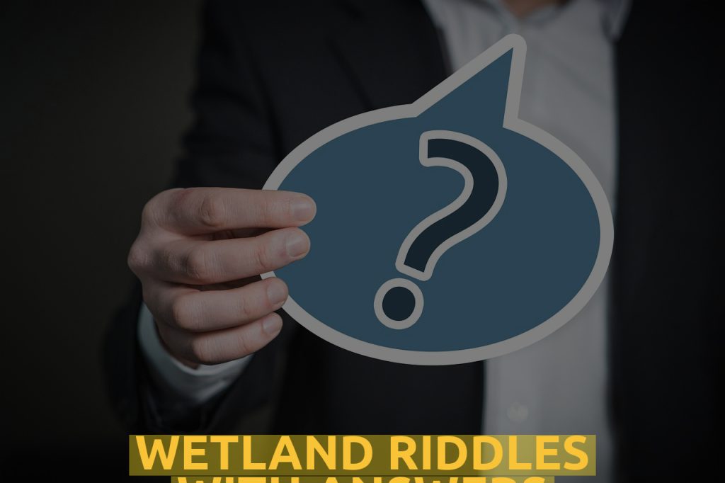 Wetland Riddles With Answers