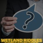 Wetland Riddles With Answers